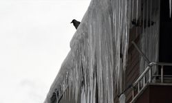 Doğu Anadolu'da kar ile soğuk hava etkili oluyor