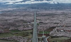 Dünya Kayısı Başkenti Malatya'da Büyüleyici Manzara: Ağaçlar Gelinliğini Giydi!