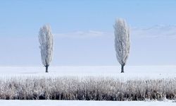 Erzurum, Kars, Tunceli ve Ardahan'da kar yerini soğuk havaya bıraktı
