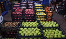 Hal işlemlerinde düşük fiyat bildirimiyle vergi kaybı tespit edildi