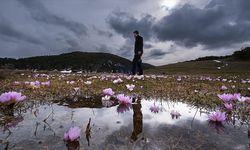 Havanın Isınmasıyla Açan Çiçekler Doğaya Renk Kattı