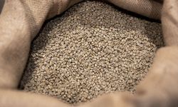 İşletmelerden Toplanan Kahve Posaları Bakın Neye Dönüştürülüyor?