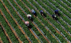 Kimlik Numarası ‘0’ Olanlar İçin Ödeme Bugün