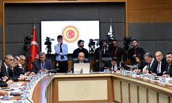 Malatya'lılar İzin Verildi! Risk Oluşturan Yaban Hayvanları Avlanabilecek..