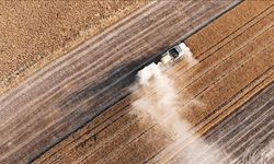 Tarım sezonunun ilk 4 ayında yağışlar geçen yıla göre yüzde 38 arttı