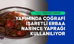 Tokat Mutfağının En Eski Lezzetlerinden Biri: Bakla Dolması