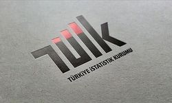 TÜİK, altın ve enerji hariç dış ticaret endekslerini yayımlayacak