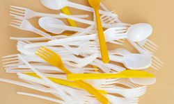 Türkiye’de Tek Kullanımlık Plastiklere Yasak Geliyor! İşte Yasaklanacak Ürünler