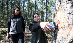 Türkiye’nin Akciğerleri Kadın Ormancıların Emanetinde