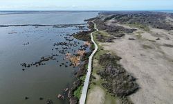 Türkiye’nin Kuş Cenneti Yeniden Hareketlendi: Baharın İlk Misafirleri Geldi