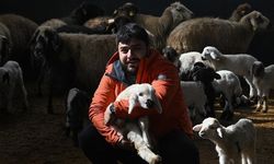 Üniversiteli genç, devlet desteğiyle başladığı hayvancılıkta söz sahibi olmak istiyor