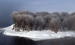 Van, Bitlis ve Muş’ta Kar Felaketi: 114 Köy Yolu Kapandı!