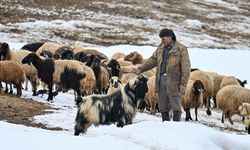 Van'ın kırsal mahallelerinde baharda da karla mücadele sürüyor