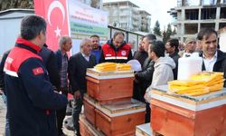 Adıyaman'da arıcılara 494 kovan dağıtıldı