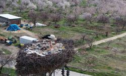 Baskil’de Leylekler Baharı Müjdeledi