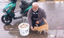 Bayramda Anlamlı Davranış: Sokak Hayvanları Unutulmadı