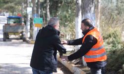 Belediyeden vatandaşlara ücretsiz fidan desteği