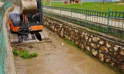 Belediyeden yaz öncesi dere temizliği