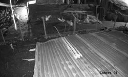 Darende’de Kurt Kümese Girdi, Kazı Alıp Kaçtı