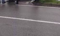 Diyarbakır'da Araç Refüje Çarparak Durabildi