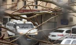 Diyarbakır’da Eş Cinayeti Zanlısı Adliyeye Sevk Edildi