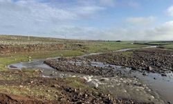 Diyarbakır'da Sağanak Felaketi: Sulama Göleti Taştı, Birçok Alan Su Altında Kaldı