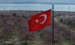 Elazığ Baskil'de Kayısı Bahçeleri Beyaza Büründü, Ortaya Eşsiz Manzaralar Çıktı