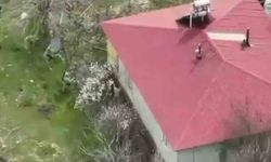 Elazığ'da 16 yıl Cezası Olan Hükümlü Yakalandı