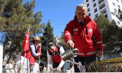 Elazığ'da bayram öncesi, şehitlikler temizlendi