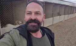 Kayıp Kangalını Sibirya Kurduyla Birlikte Bulan Sahibi: 'Sibirya Kurdu Sivas'a Gelin Geldi'