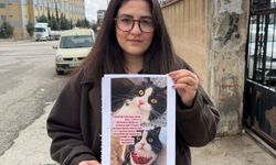 Kedilerini Bulana Çeyrek Altın Ödülü!