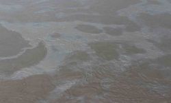 Korkutan Olay: Cizre’de Petrol Sızıntısı Dicle Nehri’ne Ulaştı, Ekipler Arızayı Çözdü