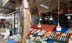 Malatya'da 42 Kiloluk Turna Balığı Görenleri Şok Etti