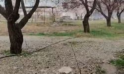 Malatya’da Sağanak Yağış Doluya Dönüştü