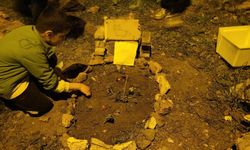 Nusaybin’de Duygulandıran Anlar: Çocuklar, Trafik Kurbanı Kediyi Defnetti