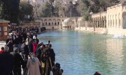 Ramazan’da Balıklıgöl Büyüledi: Ziyaretçiler Kutsal Balıklarla Dua Ediyor