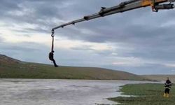 Şanlıurfa'da dere sularına kapılan traktör sürücüsü vinçle kurtarıldı