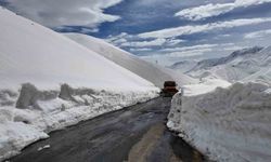 Şırnak'ta Çığ Düşen O Yolu Açma Çalışmaları Başlatıldı
