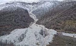 Şırnak'ta Çığ Düştü