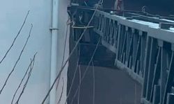 Takıldığı İpte Mahsur Kalan Güvercin'i Jandarma Kurtardı