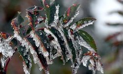 Malatya İçin Yeni Hava Uyarısı: Gece ve Sabah Saatleri Öne Çıkıyor!