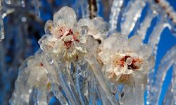 Meteoroloji Malatya İçin Gece Saatlerini İşaret Etti!