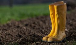 Sarı Çizmeli Mehmet Ağa Kimdir?