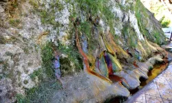 Malatya’da Hala Akıyor! Ölüm Döşeğinden Döndüren Efsane Su