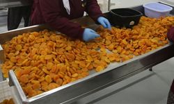 Malatya'da Dev İcra Satışı: 222 Milyon TL'lik Kayısı Fabrikası İhaleye Çıkıyor!