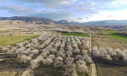 Malatyalılar Yeni Sezonda Kaliteyi Renk Kodlarından Anlayacak!