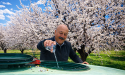 Kayısı Bahçesinde İlginç Ritüel: Zemzem Suyuyla Sezona Başladı