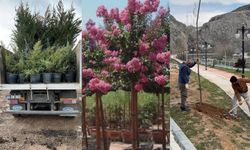 Darende’ye 7 Binin Üzerinde Fidan Dikildi