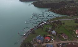 Tunceli’de Uzunçayır Barajı’na 1,5 Milyon yavru alabalık bırakıldı