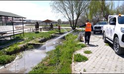 Elazığ’da haşereyle mücadele çalışmaları yoğunlaştırıldı